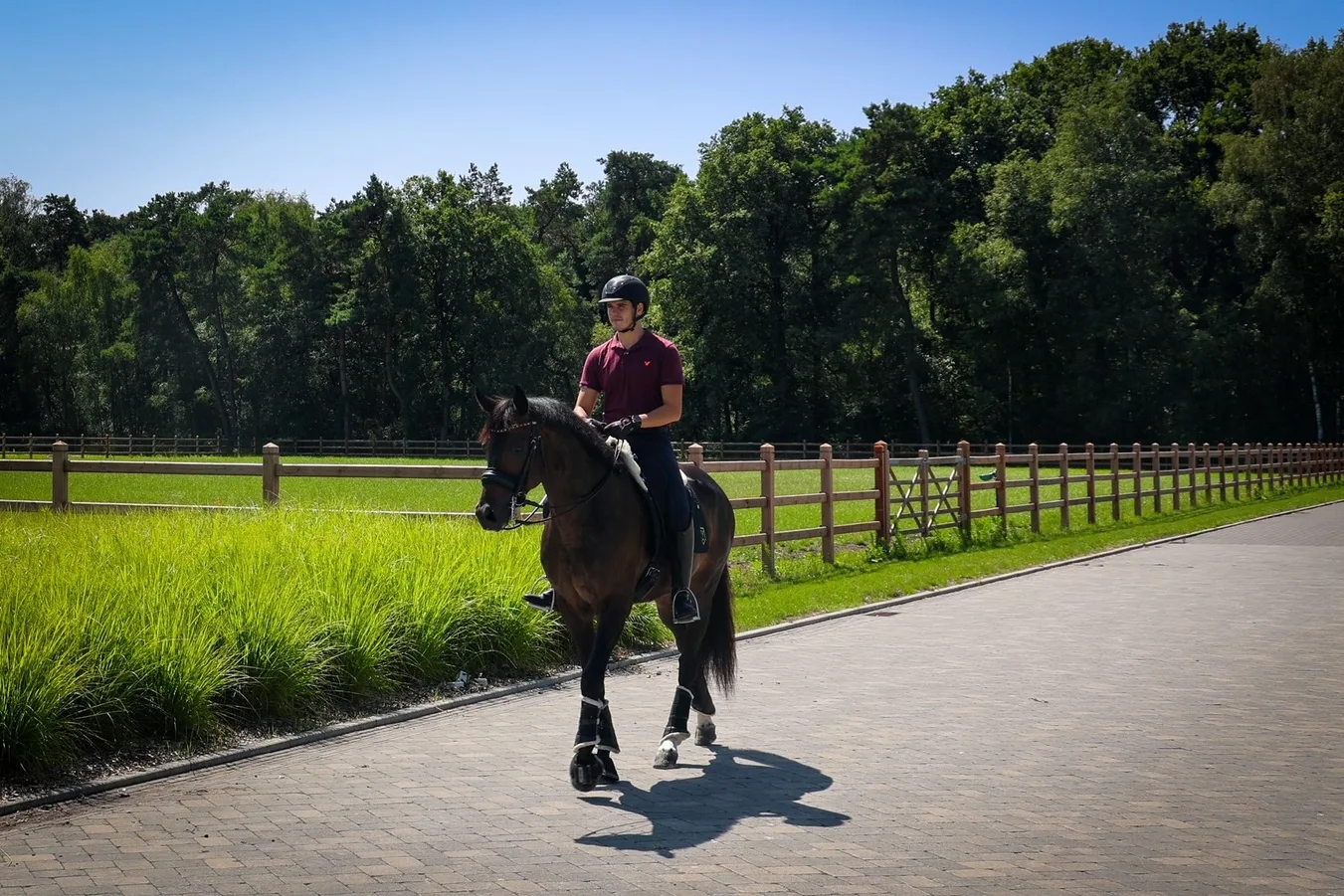 Ruiter te paard langs een Nobifix omheining